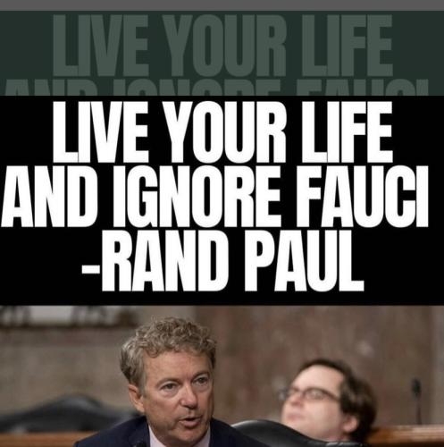 image_1639067050.463