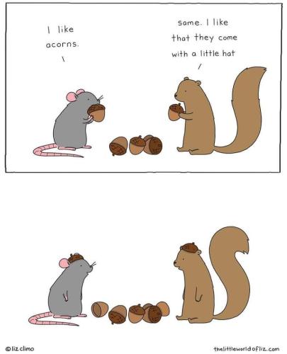 FB_IMG_1639516775515