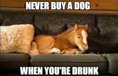 FB_IMG_1639341318603