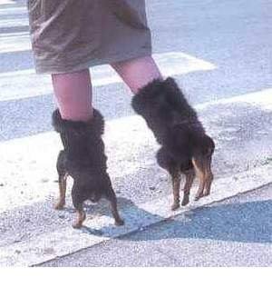 270943469_974713980091348_2239842440572600531_n