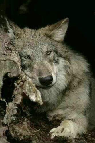 18:38:05 GMT-0600 (CST)