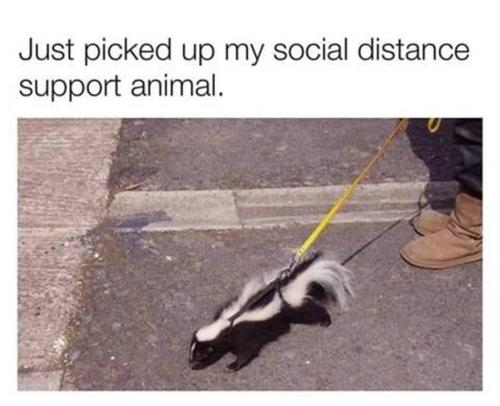 _()_04