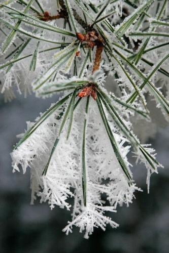 tumblr_804b65c768d6af5cc0262c5d11d11df2_54c7f946_540