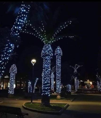 13:51:57 GMT-0600 (CST).image