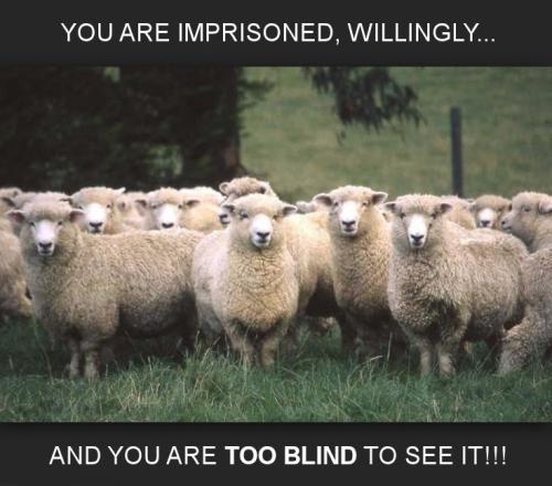 YOU ARE IMPRISONED WILLINGLY AND YOURE TOO BLIND TO SEE IT