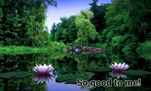 Screenshot_20211214-063511_DuckDuckGo