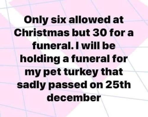 🤣🤣🤣 get your turkey!