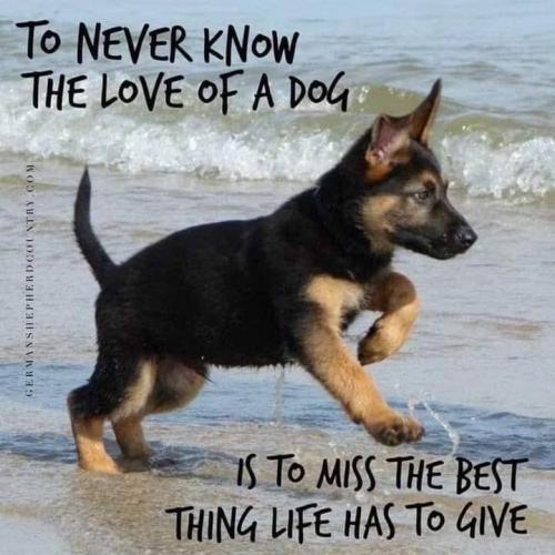 13:49:06 GMT-0700 (MST).image