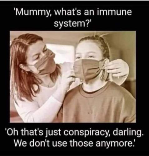 immune system