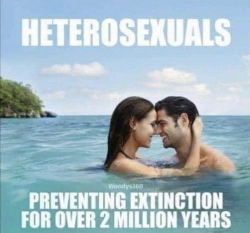 18:05:46 GMT-0600 (CST).image