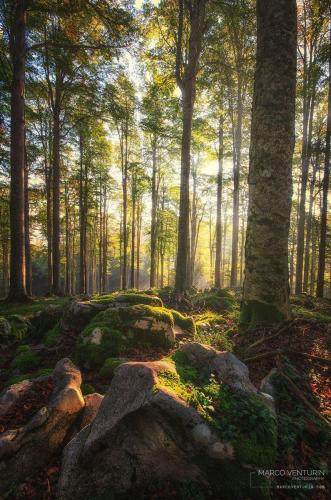 270306487_1732994633566546_8291460455408532403_n