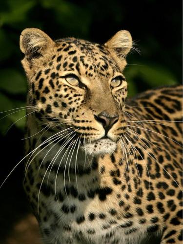 c10d0749d5eda467beaefdf5d9fb9545