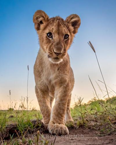 269781780_439806484260942_6817320975797233030_n