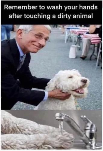 03:41:04 GMT-0800 (PST).image