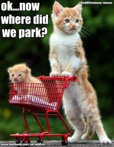 266850817_470461384425176_7432265976883631313_n