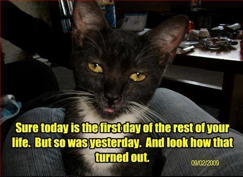 11902438_1612230455703466_334118062148746855_n