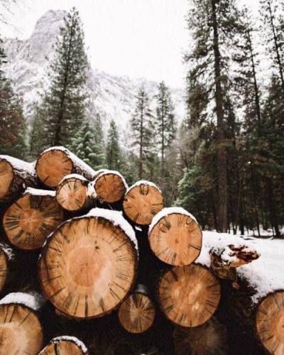 269462531_1817204808480589_4079985705086556149_n