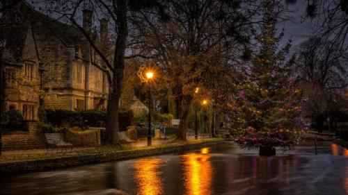 !  Rainy city street christmas tree