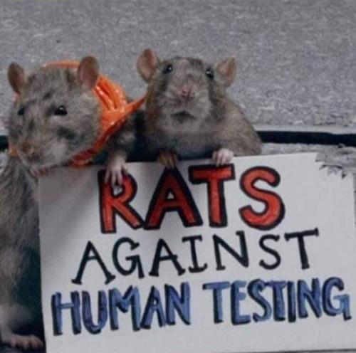 photo_2021-11-18_19-05-52