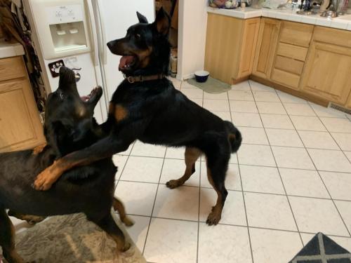 20:24:44 GMT-0800 (PST).image