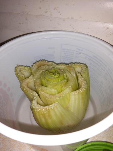 14:41:21 GMT-0700 (MST)