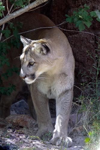 269771634_1726844234181586_5329496210094489707_n