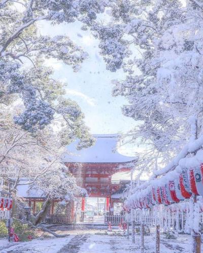 266250471_452413416254666_7015708442387773886_n