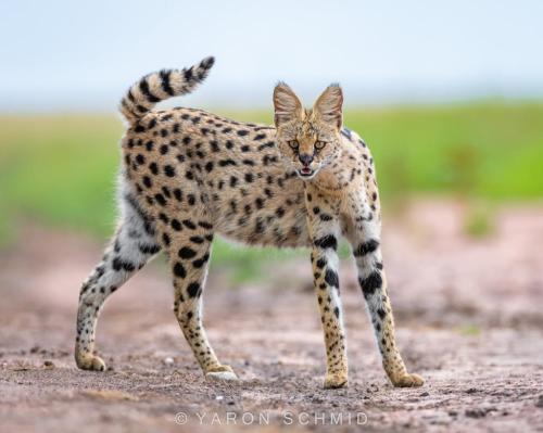 269130168_438082844433306_3621563332459714710_n