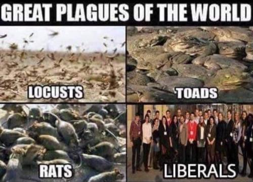 great_plagues_of_the_world