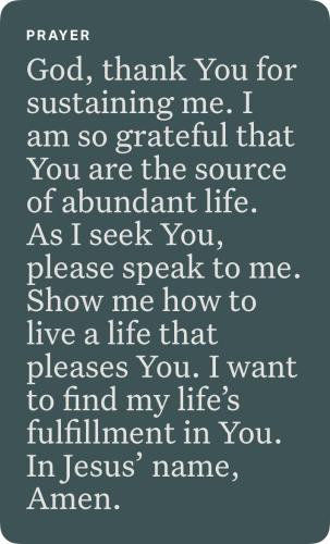 19:56:30 GMT-0600 (CST)