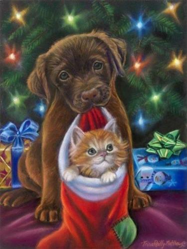 Dog and cat friends at xmas
