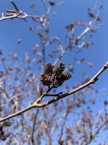 2FB346F8-BE40-4713-8926-3AF27D5B9956