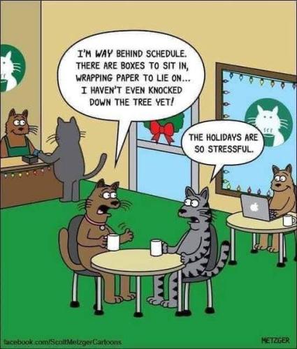 stressful holidays