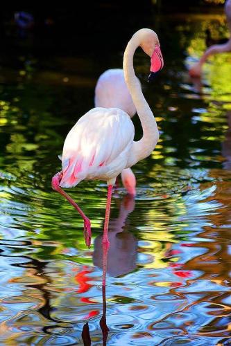 270934021_1734455576753785_6636972503185530184_n