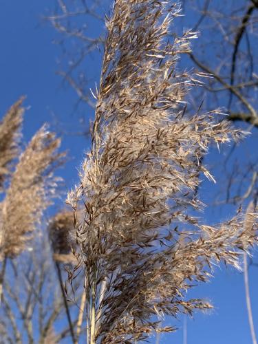 994CBBD9-56FD-4D3F-A83B-95A7C6A6EB0F