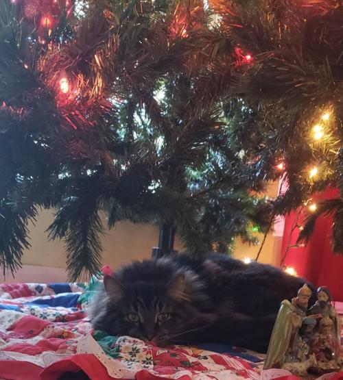 Resized_20211206_102717