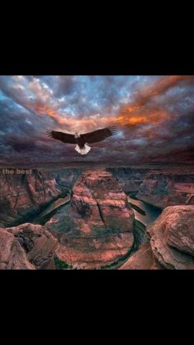 Screenshot_20211118-161230_Wimkin Uncensored