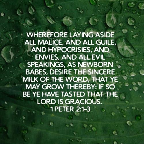 06:36:16 GMT-0500 (EST)