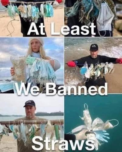 262915012_447578150408305_3841602137193029200_n