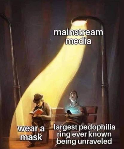 msm169