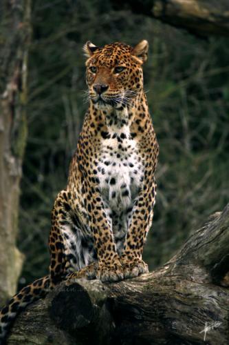 tumblr_mwqayrwU3b1s5ot3xo1_540