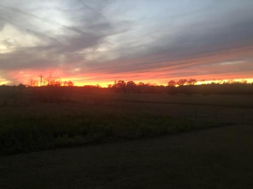 C1F0077D-DE06-4562-B39D-B3A22D816E82