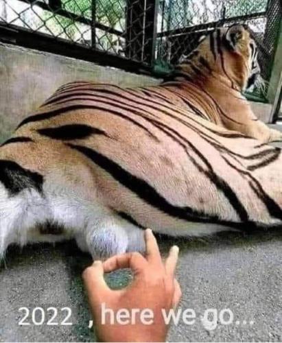 FB_IMG_1640245033640