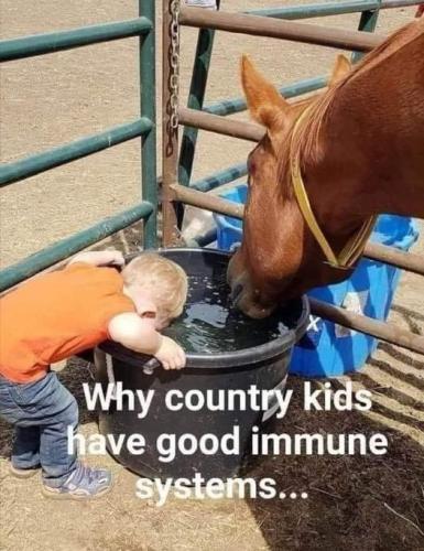 267568324_4801884283190932_4569457274287575578_n