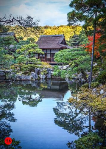 265768920_6569992613072402_7654393920720638932_n