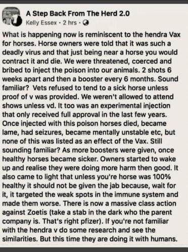 FB_IMG_1639341619365