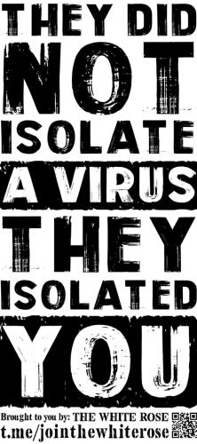 IMG_20211204_194611_426