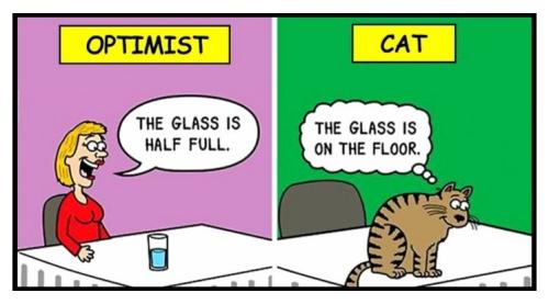 Cartoon - Optimist Cat Glass