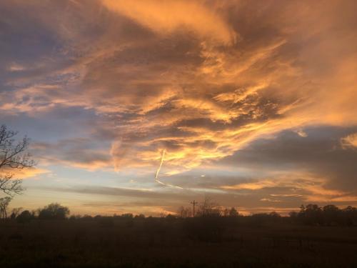 69FF31B3-F45E-4316-AC27-9282E44D28C6