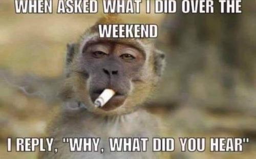 FB_IMG_1639980215334